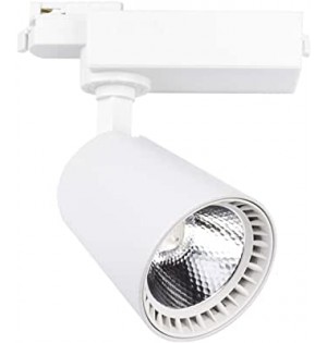 FOCO PROYECTOR LED 30W  4000K