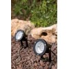 FOCO EXTERIOR  JARDIN 3w  6000k  IP 65